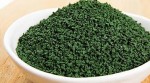 Spiruline