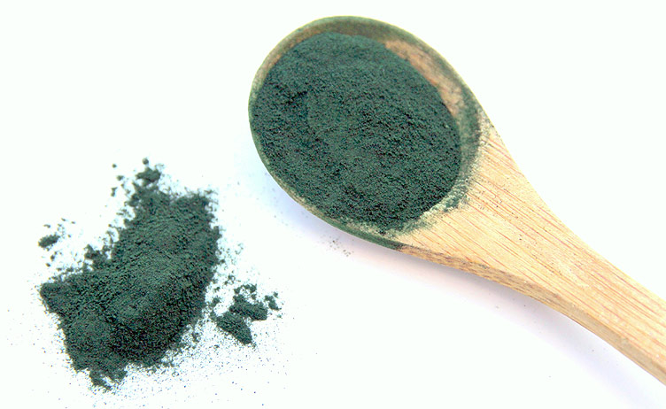 Spiruline en poudre