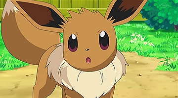 Quels Sont Les Evolutions D Evoli Comment Les Choisir